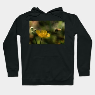 HUMDINGER OF LIFE Hoodie